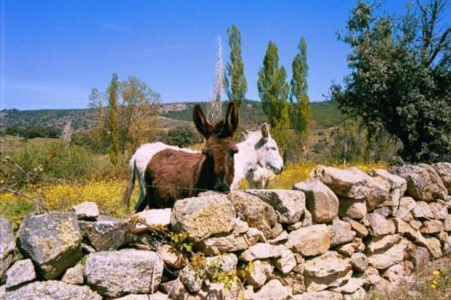 Casa Rural Menta Y Canela Tórtoles エクステリア 写真